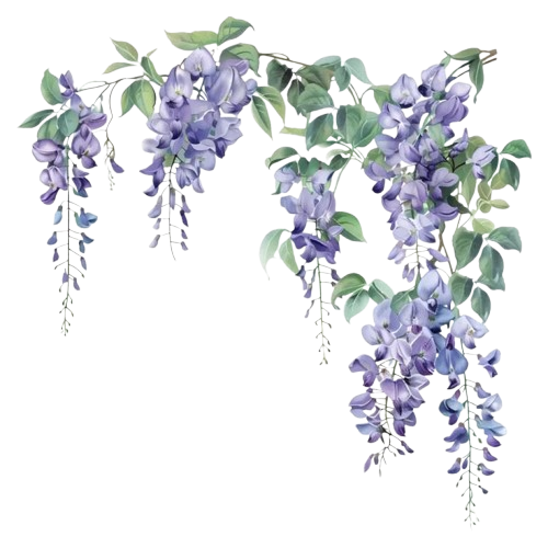 floral_image
