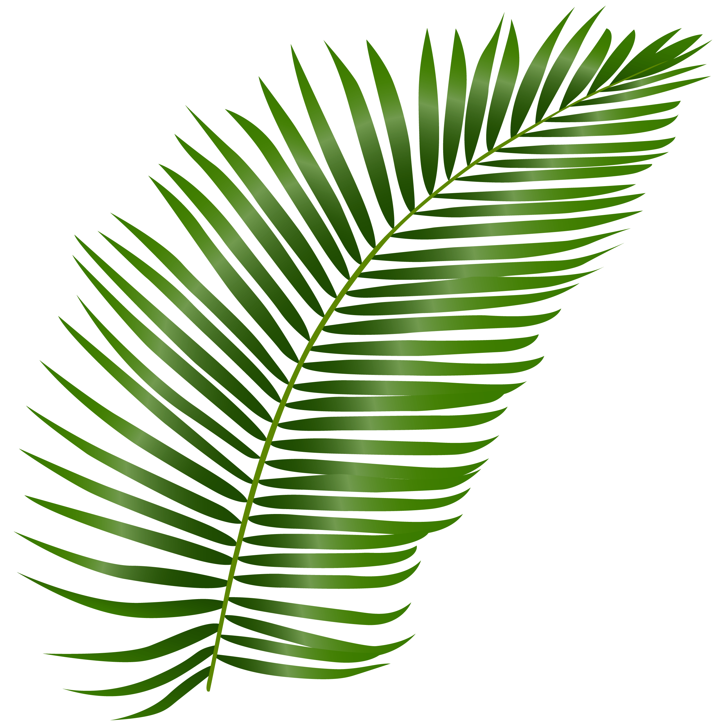 second leaf